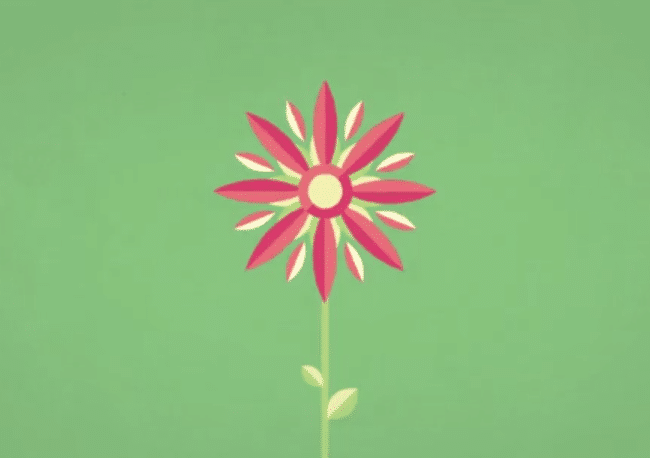 Video: Ode to a Flower