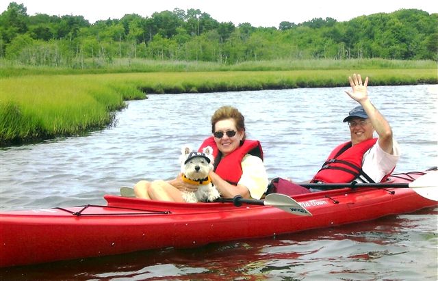 Therapy Dogs: Making a Difference One Tail Wag and Kiss at a Time